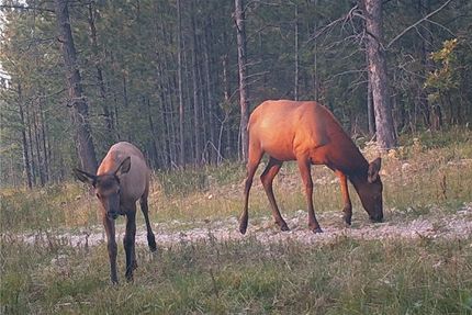Land for sale in Crook County, Wyoming