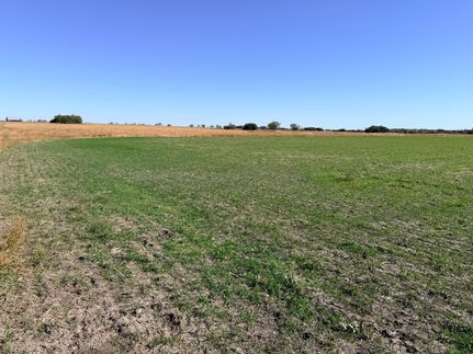 Land for sale in Mills County, Texas