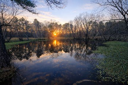 Farm and Ranch for sale in Angelina County, Texas