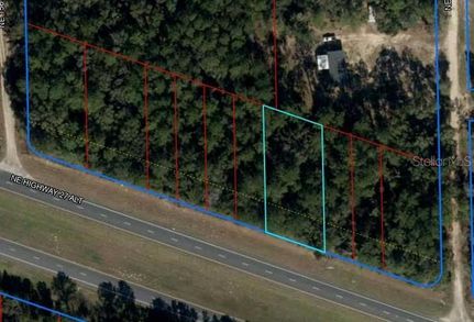 Land for sale in Levy County, Florida