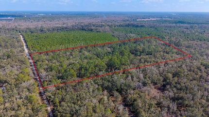 Land for sale in Gilchrist County, Florida