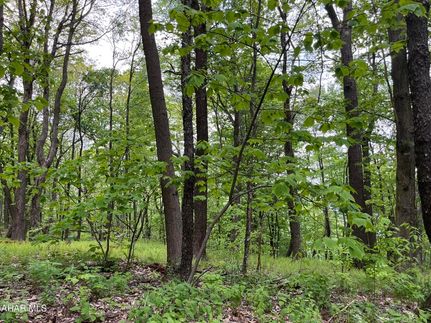 Homesite for sale in Bedford County, Pennsylvania