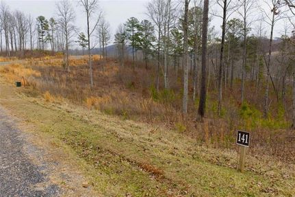 Land for sale in Gilmer County, Georgia