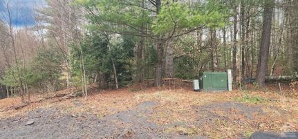 Undeveloped Land for sale in Greene County, New York