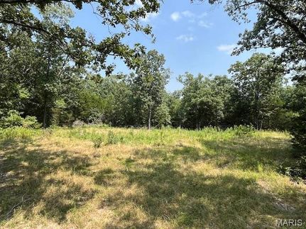 Undeveloped Land for sale in Gasconade County, Missouri