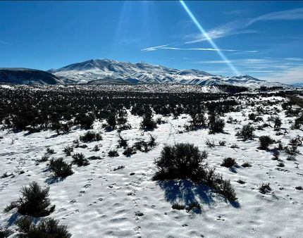 Timberland Property in Elko County, Nevada