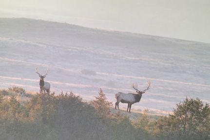 Farm and Ranch for sale in Prairie County, Montana