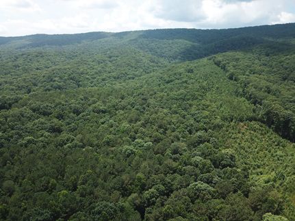 Land for sale in Floyd County, Georgia