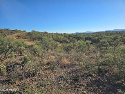 Homesite for sale in Santa Cruz County, Arizona