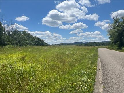 Undeveloped Land for sale in Schuyler County, New York