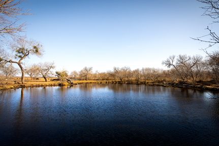 Land for sale in Wilson County, Texas