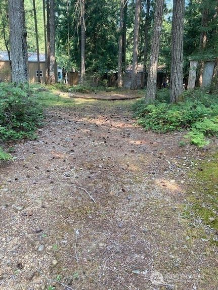 Undeveloped Land for sale in Mason County, Washington