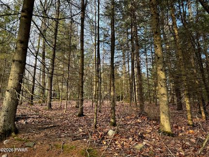 Timberland Property for sale in Pike County, Pennsylvania
