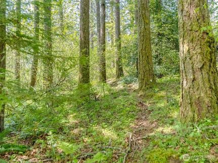 Undeveloped Land for sale in Clark County, Washington