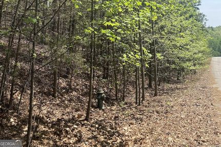 Homesite for sale in Banks County, Georgia
