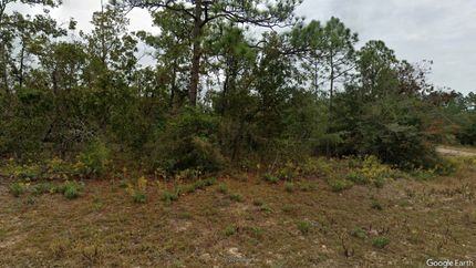 Timberland Property for sale in Washington County, Florida