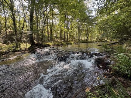 Timberland Property for sale in Wayne County, Tennessee