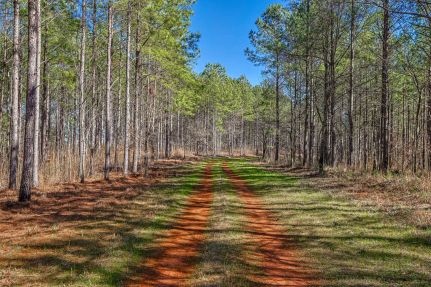 Land for sale in Monroe County, Georgia