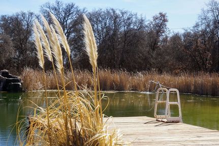 Farm and Ranch for sale in Jones County, Texas