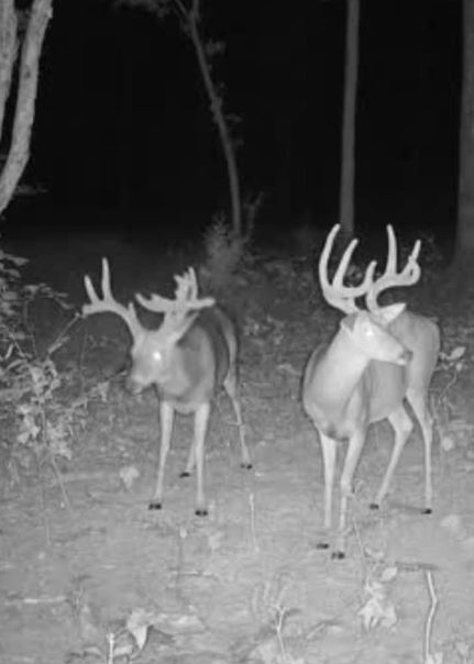 Farm and Ranch for sale in Hardin County, Illinois