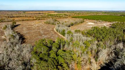 Land for sale in Randolph County, Georgia