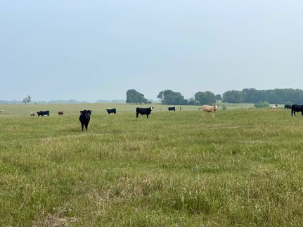 Land for sale in Falls County, Texas