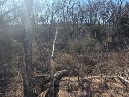 Farm and Ranch for sale in Elk County, Kansas
