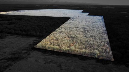 Land for sale in Red River County, Texas