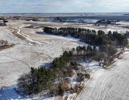 Land for sale in Woodford County, Illinois