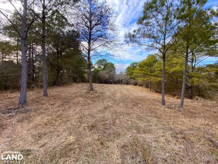 Undeveloped Land for sale in Marion County, Alabama