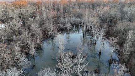 Farm and Ranch for sale in Jefferson County, Arkansas