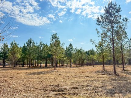 Farm and Ranch for sale in Dillon County, South Carolina