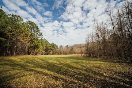 Timberland Property in Holmes County, Mississippi