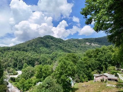 Commercial Property for sale in Henderson County, North Carolina