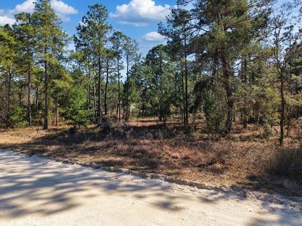 Undeveloped Land for sale in Levy County, Florida