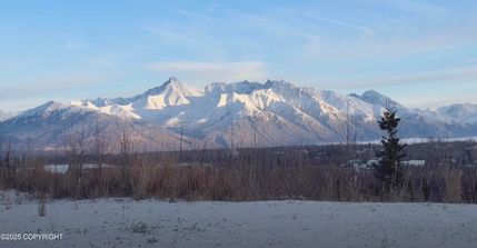 Undeveloped Land for sale in Matanuska-Susitna Borough, Alaska