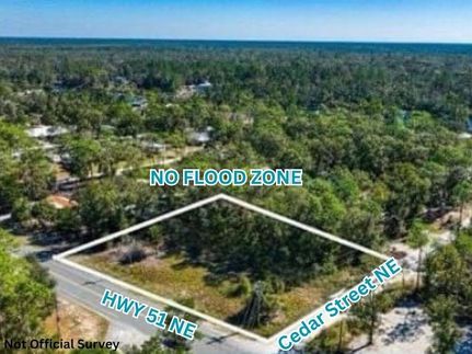 Homesite for sale in Taylor County, Florida