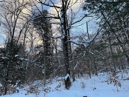 Homesite for sale in Sullivan County, New York