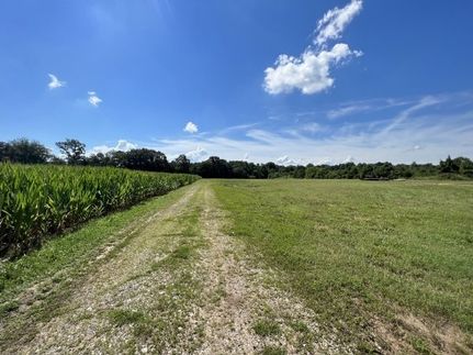 Undeveloped Land for sale in Warren County, Tennessee