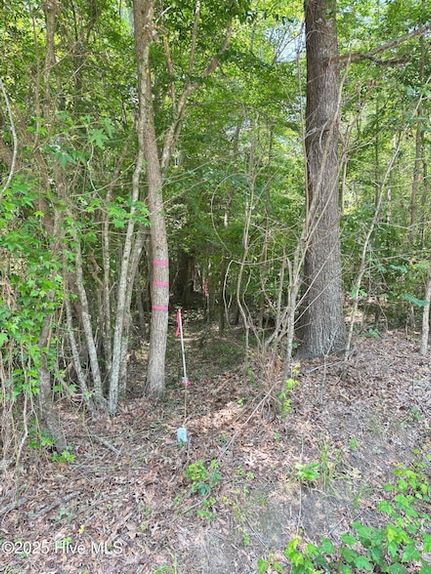 Land for sale in Hertford County, North Carolina