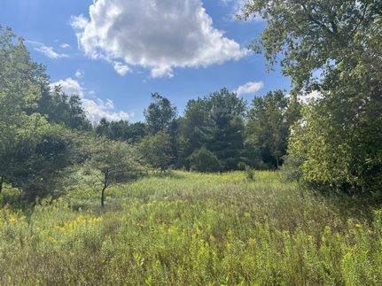 Land for sale in Montcalm County, Michigan