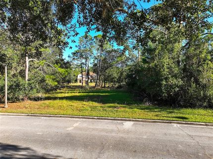 Land for sale in Osceola County, Florida