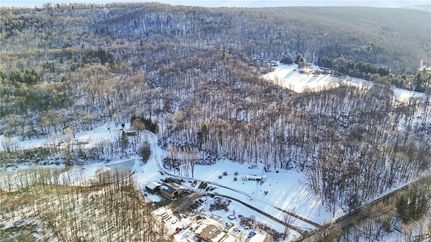 Undeveloped Land for sale in Chenango County, New York