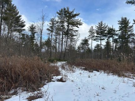 Land for sale in Essex County, New York