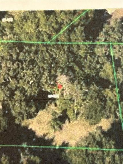 Undeveloped Land for sale in Orange County, Florida