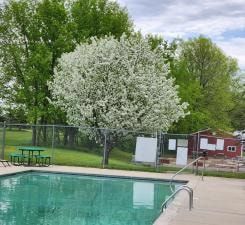 Homesite for sale in Wright County, Minnesota