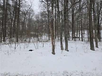 Undeveloped Land for sale in Morgan County, Ohio