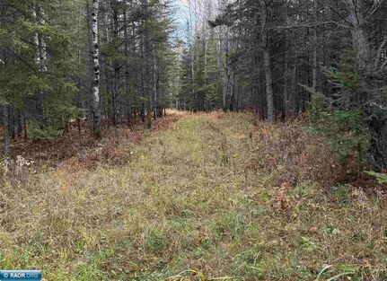 Land for sale in Saint Louis County, Minnesota