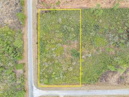 Undeveloped Land for sale in Lake County, Florida