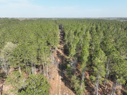 Land for sale in Calhoun County, Georgia